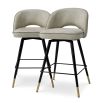 Cliff Counter Stool - Set of 2 - Mayer Silver