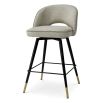 Cliff Counter Stool - Set of 2 - Mayer Silver