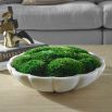 Awaken Moss Centrepiece