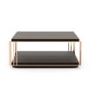 A stylish coffee table made from eucalyptus wood and copper-plated stainless steel