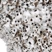 Round vase with barnacle-like finish in an elegant, distressed white