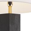 Black hexagonal side lamp with brass accents