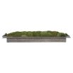 Faux moss tray centrepiece