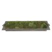 Faux moss tray centrepiece