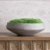 Captivating moss bowl centrepiece
