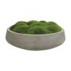 Captivating moss bowl centrepiece