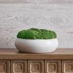 Elegant faux moss accessory with white bowl