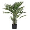 Small potted Areca palm