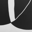 Black & White Abstract