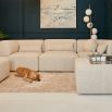 The Daydreamer Modular Sofa