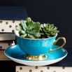 Glossy blue chic teacup and saucer with gold rims