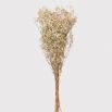 A luxury arrangement of real, white dried gypsophila 