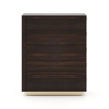 Smoked matte eucalyptus tallboy with 5 drawers and gold steel base