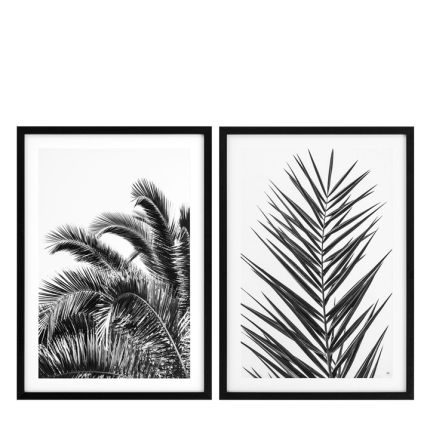 Ex-Display Eichholtz Palm Leaves Prints - Set of 2