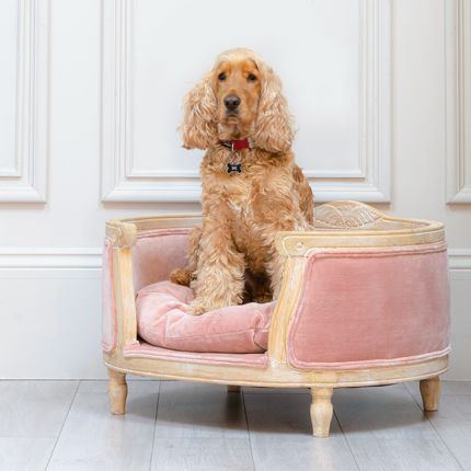 Luxury pink velvet french style dog bed