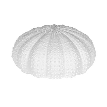 A lovely decorative urchin object, inspired by the sea and crafted from white porcelain