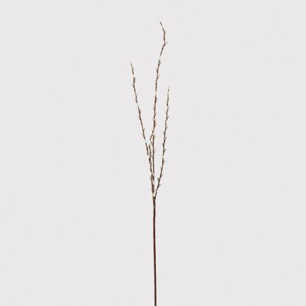 delicate sprig of artificial pussy willow