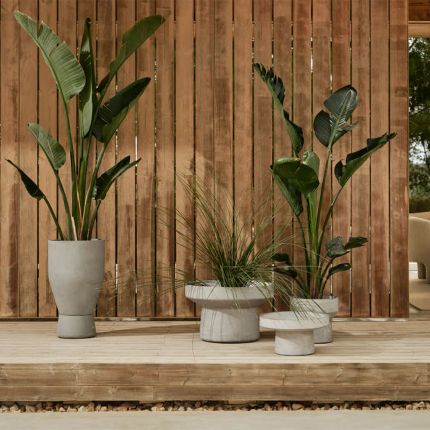 Combo Flowerpot - Ø42.5 x H23 cm