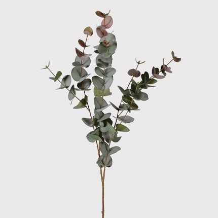 Eucalyptus Spray - Bunch of 6