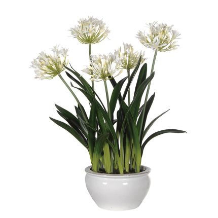 Maribelle Agapanthus Bowl