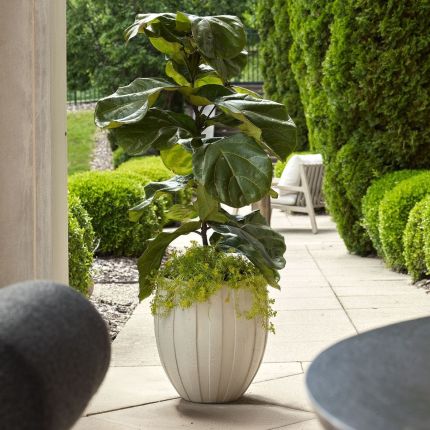 Ridgehaven Textured Outdoor Planter