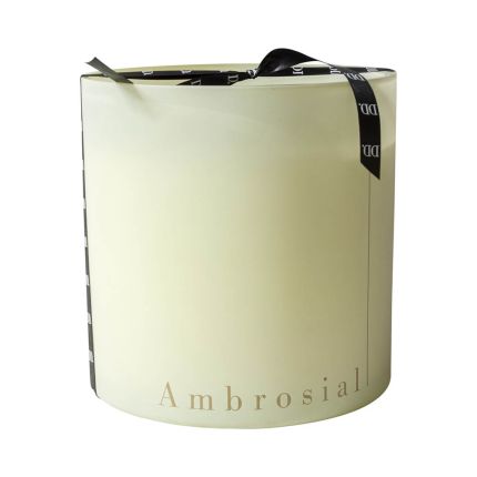 Ambrosial Candle - Cream - XL
