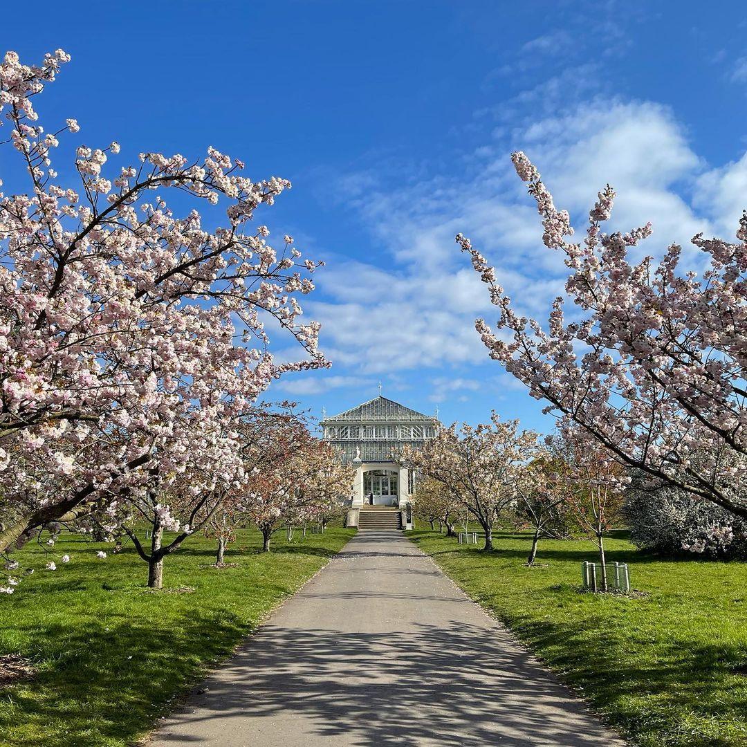 5 Most Beautiful and Instaworthy Places for Walks in London