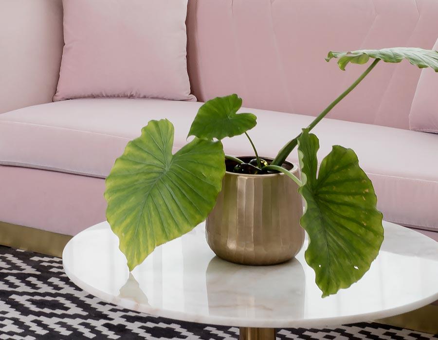 Planters & Urns
