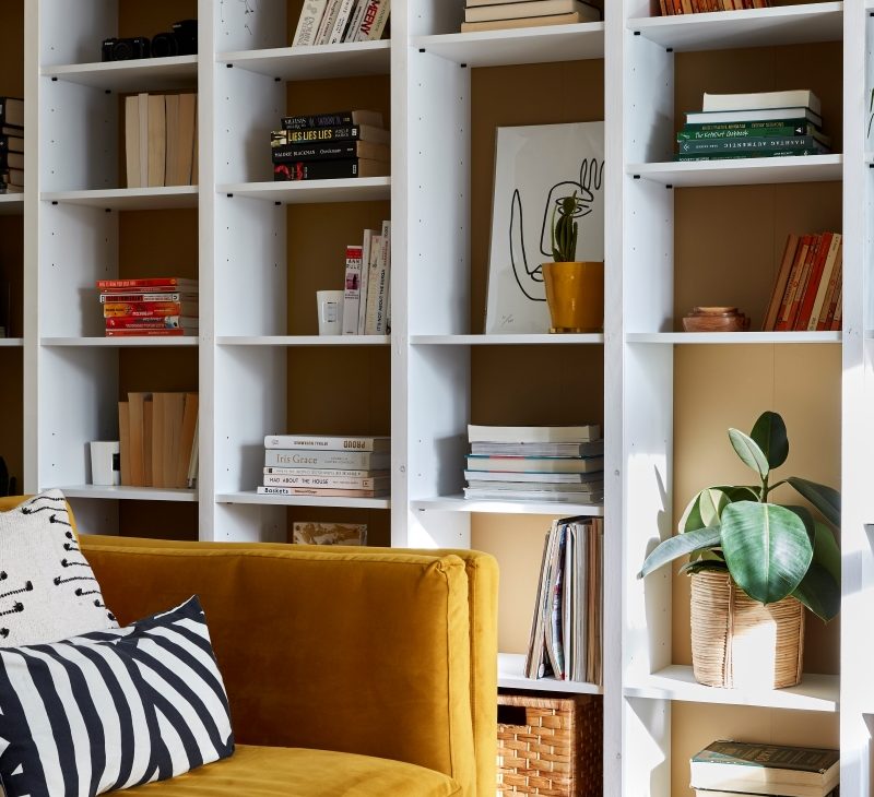 a stylish living room bookcase